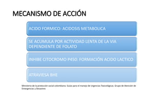 MECANISMO DE ACCIÓN
ACIDO FORMICO: ACIDOSIS METABOLICA
SE ACUMULA POR ACTIVIDAD LENTA DE LA VIA
DEPENDIENTE DE FOLATO
INHIBE CITOCROMO P450: FORMACIÓN ACIDO LACTICO
ATRAVIESA BHE
Ministerio de la protección social colombiana. Guías para el manejo de Urgencias Toxicológicas. Grupo de Atención de
Emergencias y Desastres
 