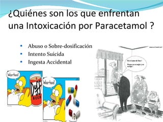 ¿Quiénes son los que enfrentan una Intoxicación por Paracetamol ? Abuso o Sobre-dosificación Intento Suicida  Ingesta Accidental  