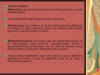 Toxico cinética Absorción:  Se absorbe por todas las vías gracias a su gran liposolubilidad,  es ligeramente irritante para la piel y mucosas.  Distribución:  Es similar a la de los Hidrocarburos alifáticos, se integra al tejido adiposo, pasa a la médula ósea donde produce su acción tóxica crónica. Biotransformación:  El primer paso de biotransformación es la hidroxilación para producir principalmente Fenol y secundariamente polifenoles, con la cual se genera como intermediario un Epóxido altamente más reactivo Todos estos metabolitos son más tóxicos que el Benceno (activación tóxica). Luego el siguiente paso es la Sulfo o Glucuroconjugación  