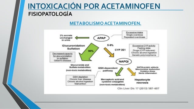 90 paracetamol mg/kg acetaminofen Intoxicación 90 paracetamol mg/kg acetaminofen Intoxicación