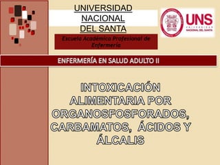 UNIVERSIDAD
NACIONAL
DEL SANTA
Escuela Académica Profesional de
Enfermería
 