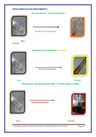 “TODO ES VENENO, NADA ES VENENO, TODO DEPENDE DE LADOSIS” Página4
Reacción Nessler =precipitado blanco
Positivo No Característico
Antes
Después
Reacción de la Yodoformo = amarillo
Positivo característico
Antes Después
Reacción de Nitroprusiato de Sodio = amarillo rojizo a violeta
Positivo caracteristico
Antes Después
 