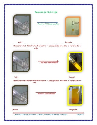 “TODO ES VENENO, NADA ES VENENO, TODO DEPENDE DE LADOSIS” Página5
Reacción de Fritsh = roja
Positivo NO Característico
Antes Después
Reacción de 2-4dinitrofenilhidracina = precipitado amarillo o naranjado o
rojo
Positivo característico
Antes Después
Reacción de 2-4dinitrofenilhidracina = precipitado amarillo o naranjado o
rojo
Positivo característico
Antes después
 