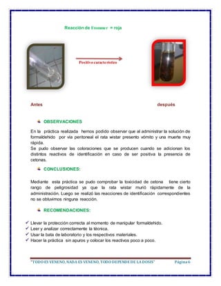 “TODO ES VENENO, NADA ES VENENO, TODO DEPENDE DE LADOSIS” Página6
Reacción de Frommer = roja
Positivo característico
Antes después
OBSERVACIONES
En la práctica realizada hemos podido observar que al administrar la solución de
formaldehido por vía peritoneal el rata wistar presento vómito y una muerte muy
rápida.
Se pudo observar las coloraciones que se producen cuando se adicionan los
distintos reactivos de identificación en caso de ser positiva la presencia de
cetonas.
CONCLUSIONES:
Mediante esta práctica se pudo comprobar la toxicidad de cetona tiene cierto
rango de peligrosidad ya que la rata wistar murió rápidamente de la
administración. Luego se realizó las reacciones de identificación correspondientes
no se obtuvimos ninguna reacción.
RECOMENDACIONES:
Llevar la protección correcta al momento de manipular formaldehido.
Leer y analizar correctamente la técnica.
Usar la bata de laboratorio y los respectivos materiales.
Hacer la práctica sin apuros y colocar los reactivos poco a poco.
 