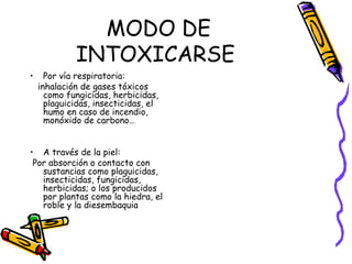 MODO DE INTOXICARSE  Por vía respiratoria: inhalación de gases tóxicos como fungicidas, herbicidas, plaguicidas, insecticidas, el humo en caso de incendio, monóxido de carbono… A través de la piel: Por absorción o contacto con sustancias como plaguicidas, insecticidas, fungicidas, herbicidas; o los producidos por plantas como la hiedra, el roble y la diesembaquia  