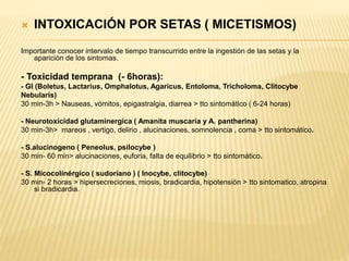  INTOXICACIÓN POR SETAS ( MICETISMOS) 
Importante conocer intervalo de tiempo transcurrido entre la ingestión de las setas y la 
aparición de los sintomas. 
- Toxicidad temprana (- 6horas): 
- GI (Boletus, Lactarius, Omphalotus, Agaricus, Entoloma, Tricholoma, Clitocybe 
Nebularis) 
30 min-3h > Nauseas, vómitos, epigastralgia, diarrea > tto sintomático ( 6-24 horas) 
- Neurotoxicidad glutaminergica ( Amanita muscaria y A. pantherina) 
30 min-3h> mareos , vertigo, delirio , alucinaciones, somnolencia , coma > tto sintomático. 
- S.alucinogeno ( Peneolus, psilocybe ) 
30 min- 60 min> alucinaciones, euforia, falta de equilibrio > tto sintomático. 
- S. Micocolinérgico ( sudoriano ) ( Inocybe, clitocybe) 
30 min- 2 horas > hipersecreciones, miosis, bradicardia, hipotensión > tto sintomatico, atropina 
si bradicardia. 
 