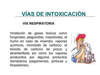 VÍAS DE INTOXICACIÓN
         VÍA RESPIRATORIA

Inhalación de gases tóxicos como
fungicidas, plaguicidas, insecticidas, el...