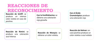 REACCIONES DE
RECONOCIMIENTO
Reacción de Schiff: se
produce un intenso
color violeta en caso de
positivo.
Reacción de Rimini: se
produce una coloración
azul intensa
Reacción de Marquis: se
obtiene un color violeta.
Reacción de Hehner: en
caso positivo produce un
color violeta o azul violeta
Con la Fenilhidracina: se
obtiene una coloración
rojo grosella
Con el Ácido
Cromotrópico: produce
una coloración roja
 