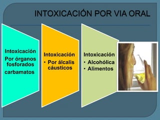 Intoxicación
Por órganos
fosforados
carbamatos
Intoxicación
• Por álcalis
cáusticos
Intoxicación
• Alcohólica
• Alimentos
 