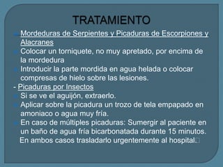  Mordeduras de Serpientes y Picaduras de Escorpiones y
Alacranes
 Colocar un torniquete, no muy apretado, por encima de
la mordedura
 Introducir la parte mordida en agua helada o colocar
compresas de hielo sobre las lesiones.
- Picaduras por Insectos
 Si se ve el aguijón, extraerlo.
 Aplicar sobre la picadura un trozo de tela empapado en
amoniaco o agua muy fría.
 En caso de múltiples picaduras: Sumergir al paciente en
un baño de agua fría bicarbonatada durante 15 minutos.
En ambos casos trasladarlo urgentemente al hospital﻿
.
 