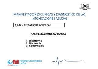 2. MANIFESTACIONES CLÍNICAS 

            MANIFESTACIONES CUTÁNEAS
 