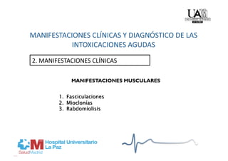 2. MANIFESTACIONES CLÍNICAS 

            MANIFESTACIONES MUSCULARES
 