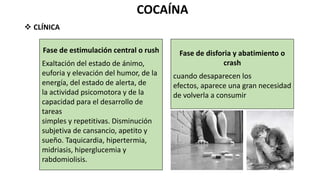 COCAÍNA
 CLÍNICA
Fase de estimulación central o rush
Exaltación del estado de ánimo,
euforia y elevación del humor, de la
energía, del estado de alerta, de
la actividad psicomotora y de la
capacidad para el desarrollo de
tareas
simples y repetitivas. Disminución
subjetiva de cansancio, apetito y
sueño. Taquicardia, hipertermia,
midriasis, hiperglucemia y
rabdomiolisis.
Fase de disforia y abatimiento o
crash
cuando desaparecen los
efectos, aparece una gran necesidad
de volverla a consumir
 