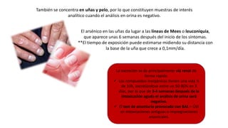 También se concentra en uñas y pelo, por lo que constituyen muestras de interés
analítico cuando el análisis en orina es negativo.
El arsénico en las uñas da lugar a las líneas de Mees o leuconiquia,
que aparece unas 6 semanas después del inicio de los síntomas.
**El tiempo de exposición puede estimarse midiendo su distancia con
la base de la uña que crece a 0,1mm/día.
La excreción se da principalmente vía renal de
forma rápida.
 Los compuestos inorgánicos tienen una vida ½
de 10h, excretándose entre un 50-80% en 3
días, por lo que de 3-4 semanas después de la
intoxicación aguda el análisis de orina será
negativo.
 El test de arseniuria provocada con BAL = Útil
en intoxicaciones antiguas o impregnaciones
arsenicales.
 