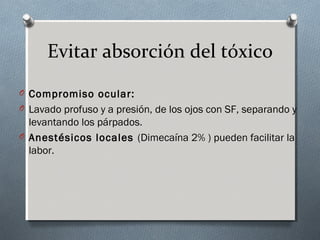 Evitar absorción del tóxico
O Compromiso ocular:
O Lavado profuso y a presión, de los ojos con SF, separando y

levantando los párpados.
O Anestésicos locales (Dimecaína 2% ) pueden facilitar la
labor.

 