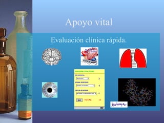 Apoyo vital
Evaluación clínica rápida.

 