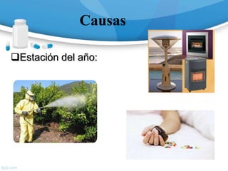 Causas
Estación del año:
 