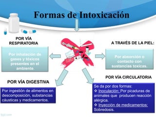 Formas de Intoxicación
Por ingestión de alimentos en
descomposición, substancias
cáusticas y medicamentos.
POR VÍA DIGESTIVA
Se da por dos formas:
 Inoculación: Por picaduras de
animales que producen reacción
alérgica.
 Inyección de medicamentos:
Sobredosis.
POR VÍA CIRCULATORIA
Por inhalación de
gases y tóxicos
presentes en el
ambiente.
Por absorción o
contacto con
sustancias toxicas.
A TRAVÉS DE LA PIEL:
POR VÍA
RESPIRATORIA
 