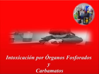 Intoxicación por Órganos Fosforados
y
Carbamatos
 