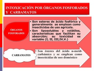 INTOXICACIÓN POR ÓRGANOS FOSFORADOS
Y CARBAMATOS
 