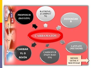 MENOS
LETAL Y
MAS FUGAZ
MENOS
LETAL Y
MAS FUGAZ
 