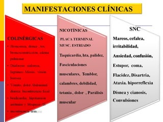 MANIFESTACIONES CLÍNICAS
 