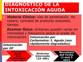 DIAGNOSTICO DE LA
INTOXICACIÓN AGUDA
1. Historia Clínica: vías de penetración, tto
casero, cantidad de producto expuesto,
tiempo.
2. Examen físico: síntomas pueden variar en
intensidad y frecuencia según el grado de
intoxicación.
Intoxicación
por OF
Intoxicación por
Carbamatos: I. Aguda (son
rápidamente degradados)
 