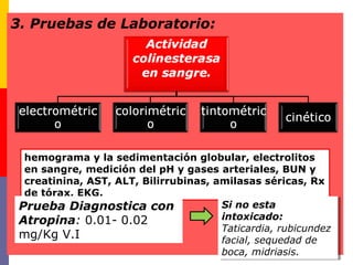 3. Pruebas de Laboratorio:
hemograma y la sedimentación globular, electrolitos
en sangre, medición del pH y gases arteriales, BUN y
creatinina, AST, ALT, Bilirrubinas, amilasas séricas, Rx
de tórax, EKG.
Prueba Diagnostica con
Atropina: 0.01- 0.02
mg/Kg V.I
Si no esta
intoxicado:
Taticardia, rubicundez
facial, sequedad de
boca, midriasis.
Si no esta
intoxicado:
Taticardia, rubicundez
facial, sequedad de
boca, midriasis.
 