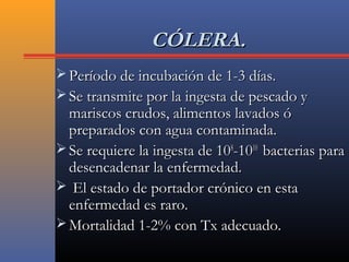 CÓLERA.CÓLERA.
 Período de incubación de 1-3 días.Período de incubación de 1-3 días.
 Se transmite por la ingesta de pescado ySe transmite por la ingesta de pescado y
mariscos crudos, alimentos lavados ómariscos crudos, alimentos lavados ó
preparados con agua contaminada.preparados con agua contaminada.
 Se requiere la ingesta de 10Se requiere la ingesta de 1088
-10-101010
bacterias parabacterias para
desencadenar la enfermedad.desencadenar la enfermedad.
 El estado de portador crónico en estaEl estado de portador crónico en esta
enfermedad es raro.enfermedad es raro.
 Mortalidad 1-2% con Tx adecuado.Mortalidad 1-2% con Tx adecuado.
 