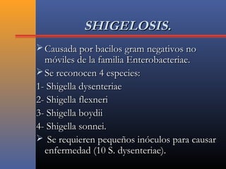 SHIGELOSIS.SHIGELOSIS.
 Causada por bacilos gram negativos noCausada por bacilos gram negativos no
móviles de la familia Enterobacteriae.móviles de la familia Enterobacteriae.
 Se reconocen 4 especies:Se reconocen 4 especies:
1- Shigella dysenteriae1- Shigella dysenteriae
2- Shigella flexneri2- Shigella flexneri
3- Shigella boydii3- Shigella boydii
4- Shigella sonnei.4- Shigella sonnei.
 Se requieren pequeños inóculos para causarSe requieren pequeños inóculos para causar
enfermedad (10 S. dysenteriae).enfermedad (10 S. dysenteriae).
 