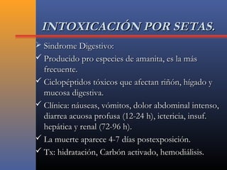 INTOXICACIÓN POR SETAS.INTOXICACIÓN POR SETAS.
 Sindrome Digestivo:Sindrome Digestivo:
 Producido pro especies de amanita, es la másProducido pro especies de amanita, es la más
frecuente.frecuente.
 Ciclopéptidos tóxicos que afectan riñón, hígado yCiclopéptidos tóxicos que afectan riñón, hígado y
mucosa digestiva.mucosa digestiva.
 Clínica: náuseas, vómitos, dolor abdominal intenso,Clínica: náuseas, vómitos, dolor abdominal intenso,
diarrea acuosa profusa (12-24 h), ictericia, insuf.diarrea acuosa profusa (12-24 h), ictericia, insuf.
hepática y renal (72-96 h).hepática y renal (72-96 h).
 La muerte aparece 4-7 días postexposición.La muerte aparece 4-7 días postexposición.
 Tx: hidratación, Carbón activado, hemodiálisis.Tx: hidratación, Carbón activado, hemodiálisis.
 