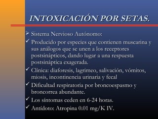 INTOXICACIÓN POR SETAS.INTOXICACIÓN POR SETAS.
 Sistema Nervioso Autónomo:Sistema Nervioso Autónomo:
 Producido por especies que contienen muscarina yProducido por especies que contienen muscarina y
sus análogos que se unen a los receptoressus análogos que se unen a los receptores
postsinápticos, dando lugar a una respuestapostsinápticos, dando lugar a una respuesta
postsináptica exagerada.postsináptica exagerada.
 Clínica: diaforesis, lagrimeo, salivación, vómitos,Clínica: diaforesis, lagrimeo, salivación, vómitos,
miosis, incontinencia urinaria y fecalmiosis, incontinencia urinaria y fecal
 Dificultad respiratoria por broncoespasmo yDificultad respiratoria por broncoespasmo y
broncorrea abundante.broncorrea abundante.
 Los síntomas ceden en 6-24 horas.Los síntomas ceden en 6-24 horas.
 Antídoto: Atropina 0.01 mg/K IV.Antídoto: Atropina 0.01 mg/K IV.
 