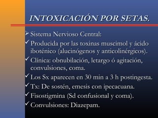 INTOXICACIÓN POR SETAS.INTOXICACIÓN POR SETAS.
 Sistema Nervioso Central:Sistema Nervioso Central:
 Producida por las toxinas muscimol y ácidoProducida por las toxinas muscimol y ácido
iboténico (alucinógenos y anticolinérgicos).iboténico (alucinógenos y anticolinérgicos).
 Clínica: obnubilación, letargo ó agitación,Clínica: obnubilación, letargo ó agitación,
convulsiones, coma.convulsiones, coma.
 Los Sx aparecen en 30 min a 3 h postingesta.Los Sx aparecen en 30 min a 3 h postingesta.
 Tx: De sostén, emesis con ipecacuana.Tx: De sostén, emesis con ipecacuana.
 Fisostigmina (Sd confusional y coma).Fisostigmina (Sd confusional y coma).
 Convulsiones: Diazepam.Convulsiones: Diazepam.
 