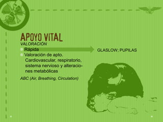 APOYO VITAL
VALORACIÓN
  Rápida                            GLASLOW; PUPILAS
  Valoración de apto.
  Cardiovascular, respiratorio,
  sistema nervioso y alteracio-
  nes metabólicas
ABC (Air, Breathing, Circulation)
 