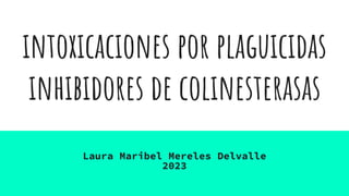 intoxicaciones por plaguicidas
inhibidores de colinesterasas
Laura Maribel Mereles Delvalle
2023
 