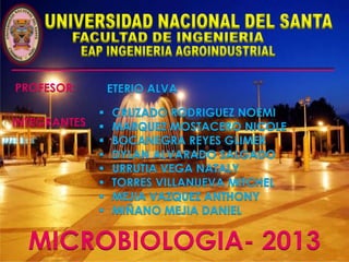 PROFESOR:
INTEGRANTES

MICROBIOLOGIA- 2013

 