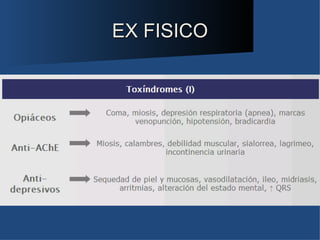 EX FISICO
 