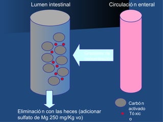 Lumen intestinal                    Circulació n enteral




                             Gradiente de
                             concentració n




                                                 Carbó n
                                                 activado
Eliminació n con las heces (adicionar            Tó xic
sulfato de Mg 250 mg/Kg vo)                      o
 