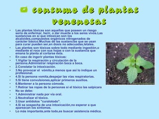    consumo de plantas venenosas Las plantas tóxicas son aquellas que poseen un riesgo serio de enfermar, herir, o dar muerte a los seres vivos.Las sustancias en sí que intoxican son los alcaloides,compuestos orgánicos nitrogenados de carácter básico.Muchas de las sustancias que se usan para curar pueden ser,en dosis no adecuadas,letales. Las plantas son tóxicas sobre todo mediante ingestión,o mediante el roce con sus hojas o con la sustancia que emana la planta al cortarse ésta. En caso de ingerir plantas tóxicas: 1.Vigilar la respiración y circulación de la persona.Administrar respiración boca a boca. 2.Constatar la intoxicación. 3.No provocar el  vómito,a menos que así lo indique un profesional. 4.Si la persona vomita,despejar las vías respiratorias. 5.Si tiene convulsiones,aplicar primeros auxilios. 6.Mantener a la persona cómoda. 7.Retirar las ropas de la personas si el tóxico las salpicara No se debe: 1.Administrar nada por vía oral. 2.Neutralizar el tóxico. 3.Usar antídotos "curalotodo". 4.Si se sospecha de una intoxicación,no esperar a que aparezcan los síntomas. Lo más importante,ante todo,es buscar asistencia médica. 