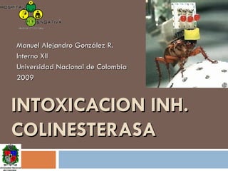 INTOXICACION INH. COLINESTERASA Manuel Alejandro González R. Interno XII Universidad Nacional de Colombia 2009 