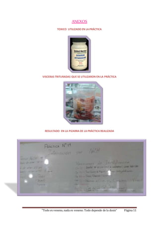 ANEXOS 
TOXICO UTILIZADO EN LA PRÁCTICA 
VISCERAS TRITURADAS QUE SE UTILIZARON EN LA PRÁCTICA 
RESULTADO EN LA PIZARRA DE LA PRÁCTICA REALIZADA 
“Todo es veneno, nada es veneno. Todo depende de la dosis” Página 11 
 