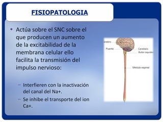 FISIOPATOLOGIA

• Actúa sobre el SNC sobre el
  que producen un aumento
  de la excitabilidad de la
  membrana celular ello
  facilita la transmisión del
  impulso nervioso:

   – Interfieren con la inactivación
     del canal del Na+.
   – Se inhibe el transporte del ion
     Ca+.
 