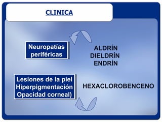 CLINICA




    Neuropatías         ALDRÍN
    periféricas        DIELDRÍN
                        ENDRÍN

Lesiones de la piel
Hiperpigmentación     HEXACLOROBENCENO
Opacidad corneal)
 
