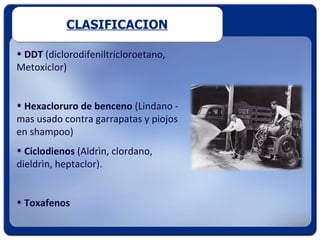 CLASIFICACION

• DDT (diclorodifeniltricloroetano,
Metoxiclor)


• Hexacloruro de benceno (Lindano -
mas usado contra garrapatas y piojos
en shampoo)
• Ciclodienos (Aldrìn, clordano,
dieldrìn, heptaclor).


• Toxafenos
 