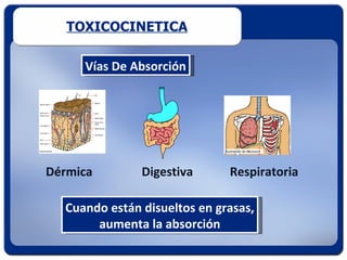 TOXICOCINETICA

     Vías De Absorción




Dérmica        Digestiva      Respiratoria

  Cuando están disueltos en grasas,
       aumenta la absorción
 