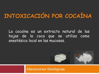 INTOXICACIÓN POR COCAÍNA
Alteraciones fisiológicas
La cocaína es un extracto natural de las
hojas de la coca que se utiliza como
anestésico local en las mucosas.
 
