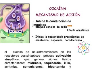 Efecto anestésico
el exceso de neurotransmisores en los
receptores postsinapticos provoca activación
simpática, que genera signos físicos
característicos: midriasis, taquicardia, HTA,
arritmias, convulsiones, hipertermia y
• Inhibe la conducción de
impulsos
 