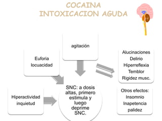 COCAINA
INTOXICACION AGUDA
SNC: a dosis
altas, primero
estimula y
luego
deprime
SNC.
Hiperactividad
inquietud
Euforia
locuacidad
agitación
Alucinaciones
Delirio
Hiperreflexia
Temblor
Rigidez musc.
Otros efectos:
Insomnio
Inapetencia
palidez
 
