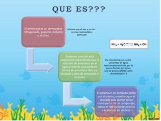 El amoníaco es un compuesto      •liviano que el aire y su olor
nitrogenado, gaseoso, incoloro        es muy reconocible y
          y alcalino                       particular




                                 Podemos concluir esta
                            explicación exponiendo que la               •Se caracteriza por su alta
                              solución de amoníaco en el                   solubilidad en agua,
                                                                       reaccionando con ella, por lo
                              agua presenta una parte en                 que se forman dos iones,
                              forma de amoníaco libre no               uno de amonio (NH4) y otro
                            ionizado y otra de amoníaco sí                   de oxidrilo (OH-)
                                       ionizado.




                                                                  El amoníaco no ionizado existe
                                                                  por sí mismo, mientras que el
                                                                    ionizado solo puede existir
                                                                  como parte de un compuesto,
                                                                   como el hidróxido de amonio
                                                                      o el cloruro de amonio.
 