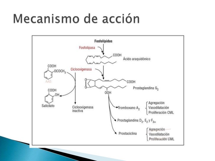Mecanismo De Accion De Acido Acetilsalicilico www.slideshare.net
